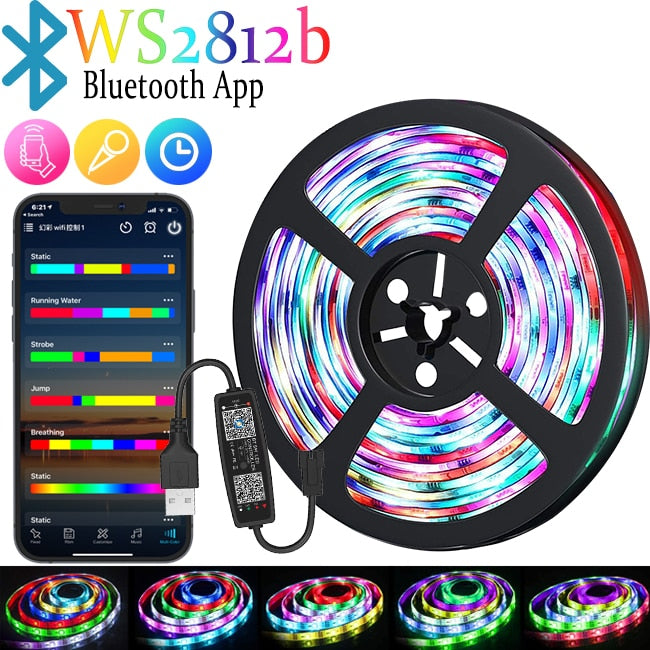 LED Strip 1m-30m RGBIC WS2812b Bluetooth App Control