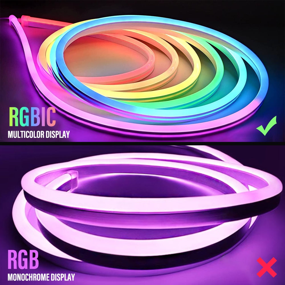 RGBIC Neon Light strip