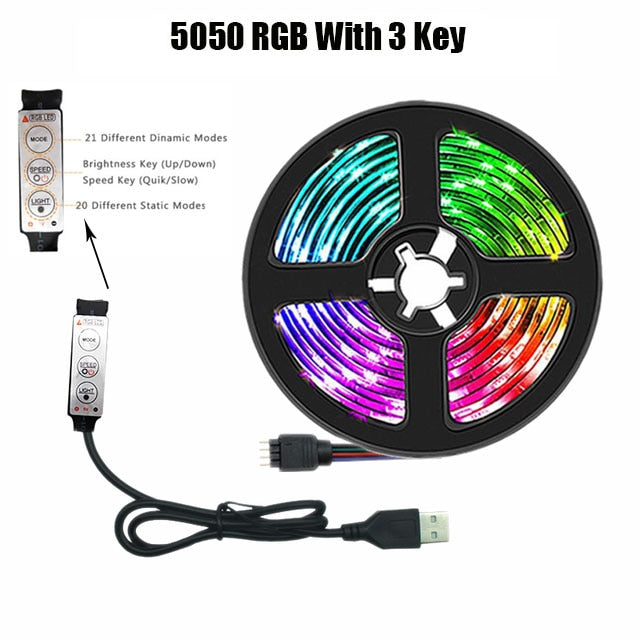 5050 Usb Rgb Led Strip 30M Bluetooth Control 5V White Led Light Led Wall Room Flexible Ribbon Tv Desktop Screen Backlight Diode